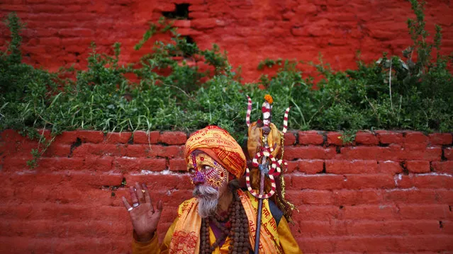 A Hindu holy man waves to attract tourists as he stands seeking alms at the Pashupatinath Hindu temple premises in Katmandu, Nepal, Monday, March 24, 2014. The Pashupatinath temple on the banks of the Bagmati River is one of the most revered temples of Lord Shiva, the Hindu god of death and destruction. (Photo by Niranjan Shrestha/AP Photo)