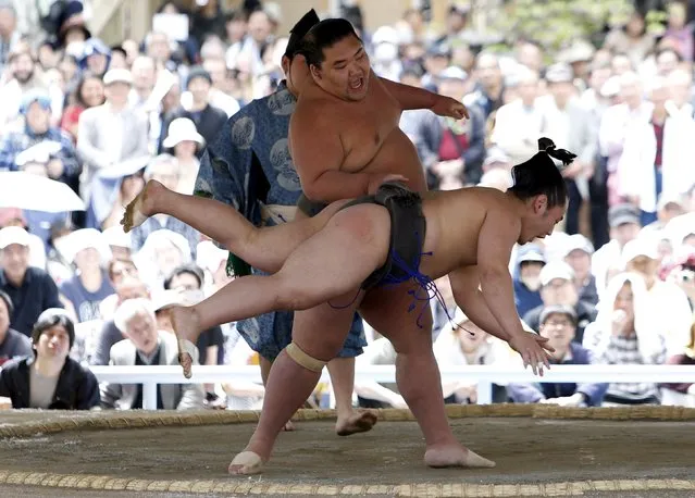 Sumo wrestlers perform a show fight during the annual “Honozumo” ceremonial sumo tournament dedicated to the Yasukuni Shrine in Tokyo, Japan, April 18, 2016. (Photo by Yuya Shino/Reuters)