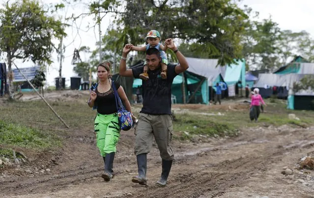 In this Tuesday, February 28, 2017 photo, FARC rebel couple Jerly Suarez, left, and Vicente Pulecio walk to a cooking class with their 9-month-old son Dainer at a rebel camp in a demobilization zone in La Carmelita, in Colombia's southwestern Putumayo state. “It wasn't seen as viable for us to have children, because why is someone going to have them when there are bullets flying around?” said Suarez, referring to the loosening of rules on baring children after the rebel group and the government reached an agreement to end their armed conflict. (Photo by Fernando Vergara/AP Photo)