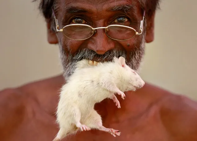 A farmer from the southern state of Tamil Nadu poses as he bites a rat during a protest demanding a drought-relief package from the federal government, in New Delhi, India March 27, 2017. (Photo by Cathal McNaughton/Reuters)
