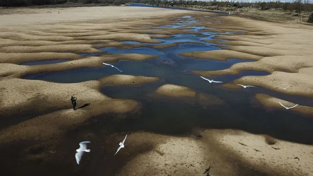 Birds fly over a man taking photos of the exposed riverbed of the Old Parana River, a tributary of the Parana River during a drought in Rosario, Argentina, Thursday, July 29, 2021. (Photo by Victor Caivano/AP Photo)