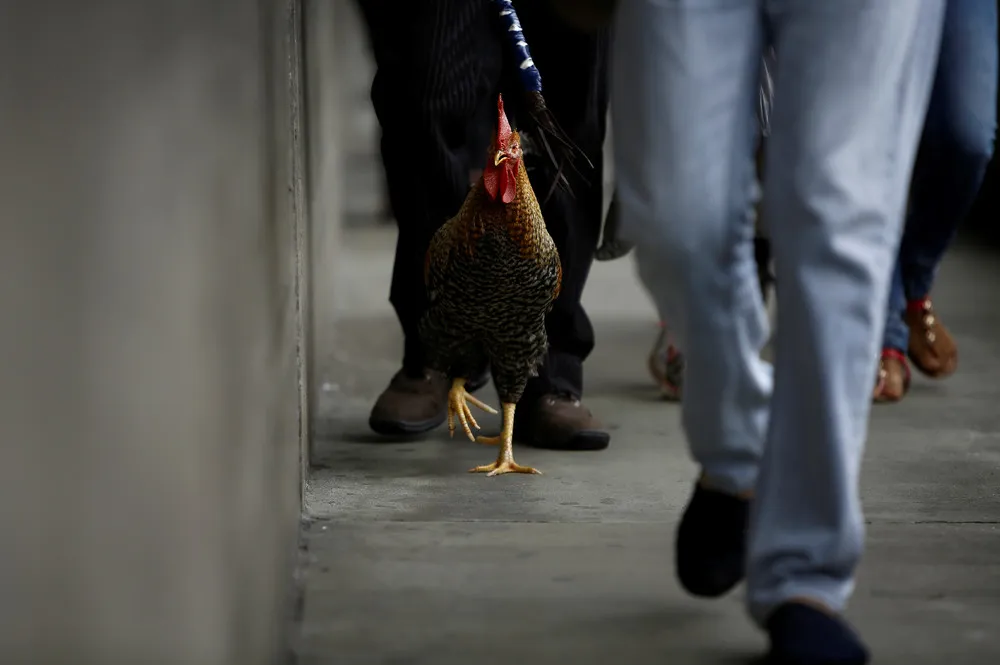 “Paquito and Me”