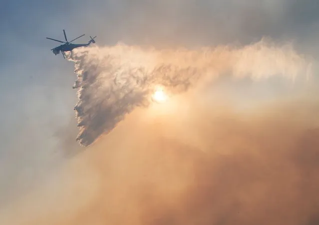 Firefighters battle to protect area around the Reagan Library from the Easy Fire in Simi Valley, California on October 30, 2019. Firefighters made progress battling a fire raging in northern California's wine country on Wednesday as rare “extreme” red flag warnings were issued for much of the Los Angeles region. The National Weather Service said powerful Santa Ana winds, with potential gusts of up to 80 miles per hour (130 kilometers per hour) in mountainous areas, had created “extremely critical” conditions in parts of southern California. “We expect the Santa Anas to be howling”, the NWS said. A blaze in the Simi Valley northeast of Los Angeles known as the “Easy Fire” forced the evacuation of the Ronald Reagan Presidential Library and nearby homes, officials said. (Photo by Mark Ralston/AFP Photo)