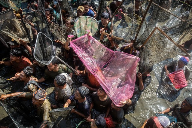 People try to catch about two tonnes of fish released by the city during an annual event to thank for this year's fishing harvest at Gemblegan Reservoir in Klaten, Central Java, July 21, 2024. (Photo by Devi Rahman/AFP Photo)