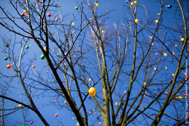 Painted Easter eggs in traditional Sorbian motives hang in the tree at the annual Easter egg market