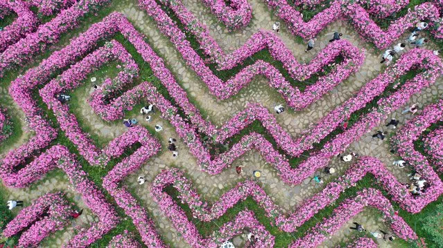 Aerial view of tourists playing in a flower maze at an agricultural science and technology park of Anlong County on April 29, 2022 in Qianxinan Buyei and Miao Autonomous Prefecture, Guizhou Province of China. (Photo by Liu Chaofu/VCG via Getty Images)