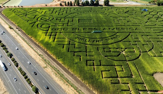 An aerial view shows one of the world’s largest corn mazes at Cool Patch Pumpkins in Dixon, California on October 17, 2024. The giant maze takes about two hours to complete and has twice earned a Guinness World Record as the world’s largest corn maze. (Photo by Josh Edelson/AFP Photo)