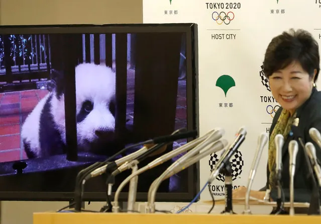 A panda cub named Xiang Xiang, born from mother panda Shin Shin at Tokyo's Ueno Zoological Gardens on June 12, 2017, is shown on a screen next to Tokyo Governor Yuriko Koike during a news conference to announce the name at Tokyo Metropolitan Government Building in Tokyo, Japan September 25, 2017. (Photo by Kim Kyung-Hoon/Reuters)