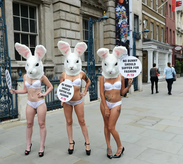 PETA activists holding signs reading “No Bunny Should Suffer for Fashion” and wearing bunny masks protest during a demonstration organized by PETA outside Somerset House in London, Britain 11 September 2014, ahead of the London Fashion Week. The Spring/Summer 2015 collections are presented from 12 to 16 September. (Photo by Facundo Arrizabalaga/EPA)