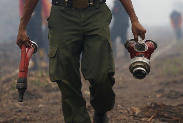 An Indonesian firefighter walks after spraying water on burned palm oil trees at palm oil plantation at Jebus village in Muaro Jambi, on the Indonesian island of Sumatra, September 16, 2015. A worsening haze across northern Indonesia, neighbouring Singapore and parts of Malaysia on Tuesday forced some schools to close and airlines to delay flights, while Indonesia ordered a crackdown against lighting fires to clear forested land. (Photo by Reuters/Beawiharta)