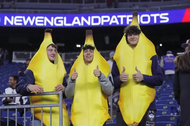 Fans wear banana halloween costumes prior to an NFL football game, Monday, October 24, 2022, in Foxborough, Mass. (Photo by Michael Dwyer/AP Photo)