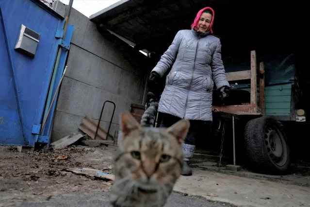 Pilaheia Mykhailivna, 73 calls for her pet cat at her home, as Russia's attack on Ukraine continues, during intense shelling in Bakhmut, Ukraine, December 26, 2022. (Photo by Clodagh Kilcoyne/Reuters)