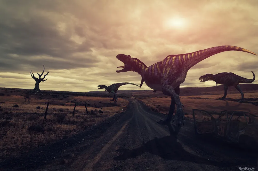 Found on Flickr: Photo Art by Norbert aka Noro8