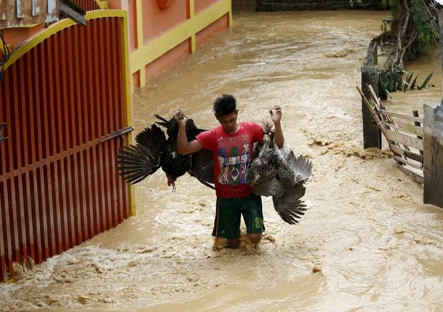 A man carries bunch of turkey to a higher ground in Sta Rosa, Nueva Ecija in northern Philippines October 19, 2015, after it was hit by Typhoon Koppu. (Photo by Erik De Castro/Reuters)