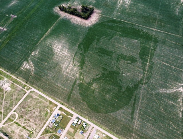 The face of Argentine football star Lionel Messi is depicted in a corn field sown with a special algorithm to plant seeds in a certain pattern to create a huge visual image when the corn plants grow, in Los Condores, on the outskirts of Cordoba, Argentina on January 15, 2023. (Photo by Agustin Marcarian/Reuters)