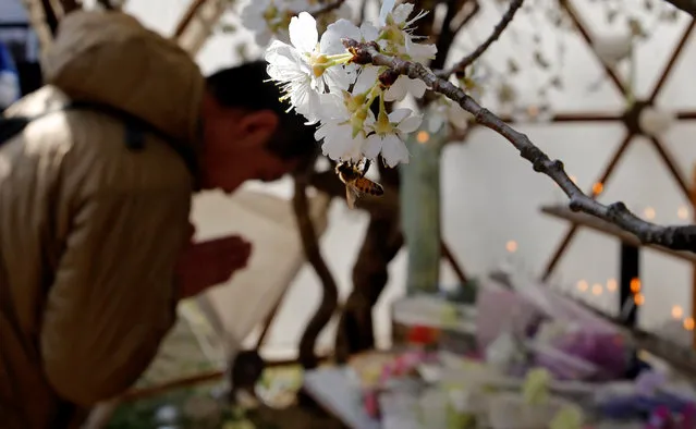 A man prays for victims of the March 11, 2011 earthquake and tsunami disaster, at a park in Tokyo, Japan, March 11, 2018, to mark the seventh-year anniversary of the disaster that killed thousands and set off a nuclear crisis. (Photo by Toru Hanai/Reuters)