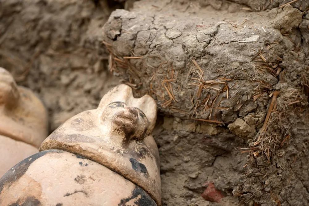 A Look at Life in Egypt