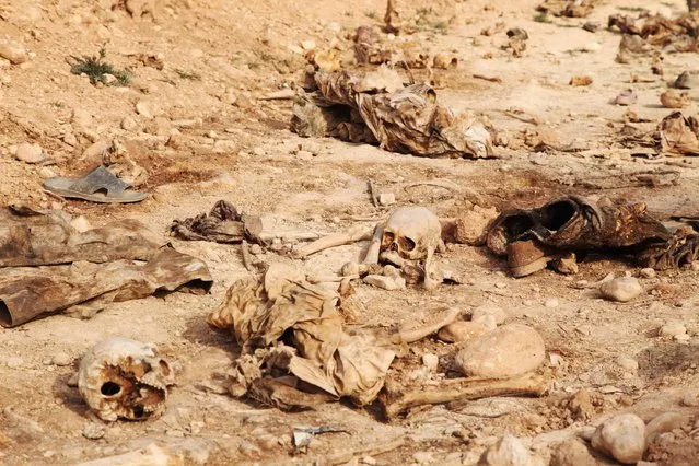 Human skulls are seen in a mass grave on the outskirts of the town of Sinjar, Iraq February 3, 2015. Police said the mass grave contained remains from 25 people belonging to the minority Yazidi sect, apparent victims of killings by Islamic State militants. (Photo by Ari Jalal/Reuters)
