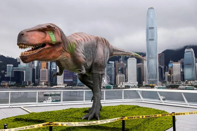 A 4.6 meters high robotic Tyrannosaurus rex (T-Rex) dinosaur installation is pictured in front of the Victoria Harbour during a promotional event in Hong Kong, China, June 6, 2022. (Photo by Tyrone Siu/Reuters)