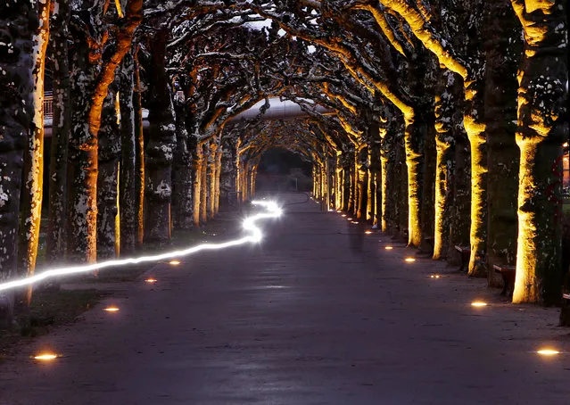 Long time exposed photo shows a man cycling through an illuminated alley in Frankfurt, Germany, Wednesday, January 31, 2018. (Photo by Michael Probst/AP Photo)