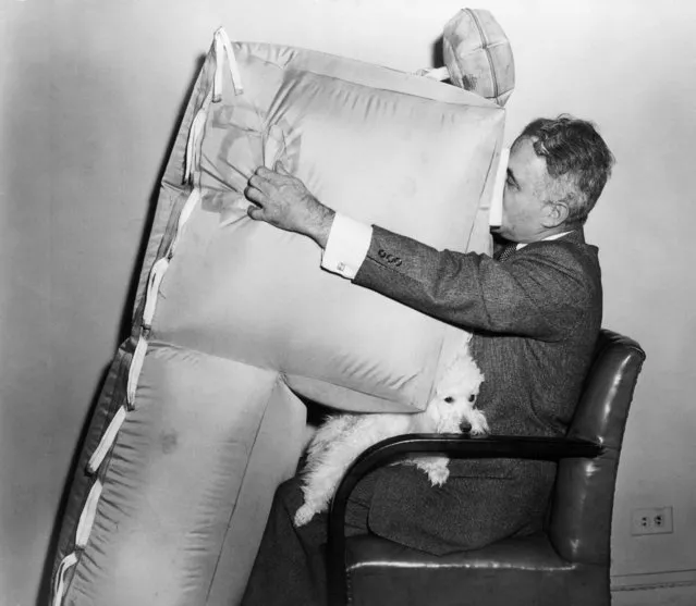 Happier landing for airplane survival crash victims is the purpose of the Micro-Moisture pneumatic safety cushion demonstrated by its designer, Assen Jordanoff, a pioneer aviator, on January 4, 1957. The cushion, which is being studied by military and civil aviation authorities, is installed in the back of airplane seats. By throwing a single switch, the pilot can inflate a planeful in three seconds. The French poodle shows how a child on a parent's lap would be protected from the crushing jolt of a crash landing or ditching. (Photo by AP Photo)