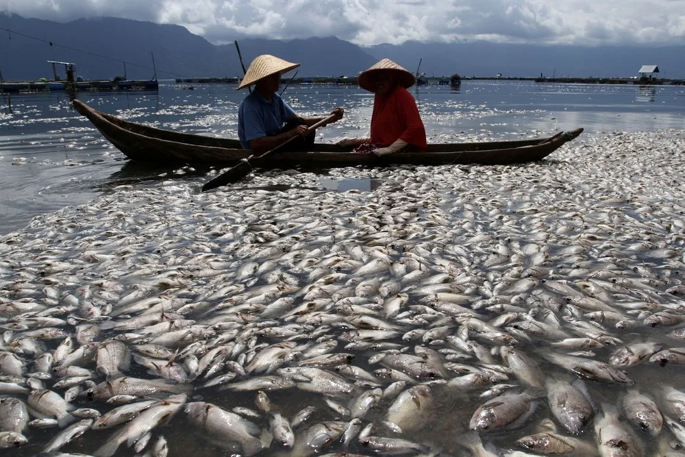 A Look at Life in Indonesia