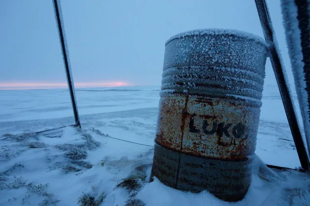 A barrel with a sign “Lukoil” is seen in the tundra area in Nenets Autonomous District, Russia, November 26, 2016. (Photo by Sergei Karpukhin/Reuters)