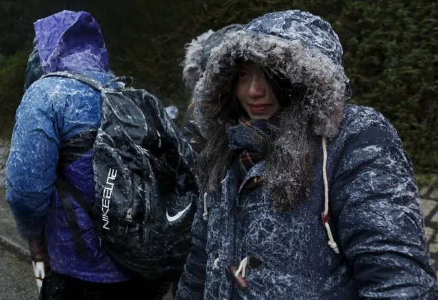 Hikers are covered with ice under sub-zero temperatures at Tai Mo Shan, the highest mountain in Hong Kong, China January 24, 2016. Government radio reported on Sunday that Hong Kong Observatory said it was the coldest day in 59 years, with the temperature dropping to 3.3 degrees in urban areas. (Photo by Bobby Yip/Reuters)
