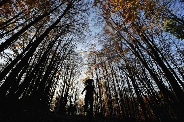 A girl runs through the forest in the village of Mavrovo, Macedonia, October 23, 2013. (Photo by Ognen Teofilovski/Reuters)