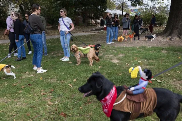 Dog owners gather ahead of the First Annual Kalorama Park Halloween Dog Parade on Saturday, October 21, 2023 in Kalorama Park near the Adams Morgan neighborhood of Washington. The contest was inspired by New York City’s annual Tompkins Square Park Halloween Dog Parade, lead by founder and host Shawn Chittle. (Photo by Tom Brenner for The Washington Post)