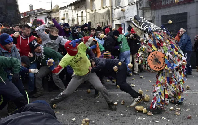 People throw turnips at a man representing the Jarrampla, sporting a costume covered in multicoloured ribbons and his face hidden behind a conical mask with a huge nose, horns and a horse' s mane, in Piorna on January 19, 2017 during the annual San Sebastian festivities The tradition has differing views on its origin with locals claiming that Jarramplas was a cattle thief who villagers got their revenge on by hurling vegetables at him while others say that this holiday is derived from mythology and the punishment that Hercules gave Cacus, meanwhile others acertain that Jarramplas was an imported native American tradition. (Photo by Gerard Julien/AFP Photo)