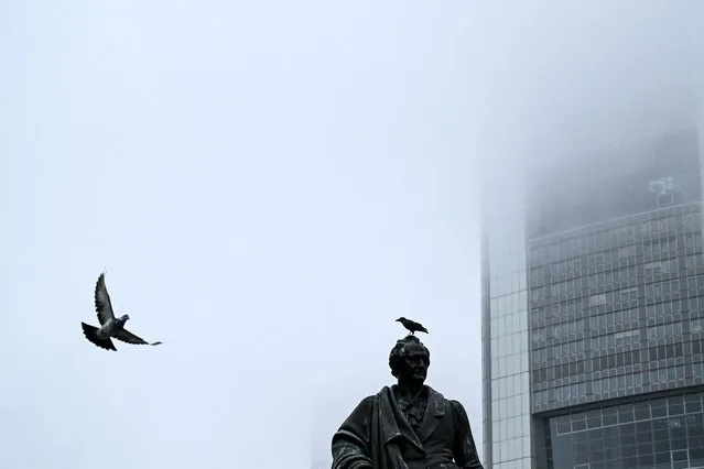 A crow sits on the head of a statue figuring German poet Johann Wolfgang Goethe in front of Commerzbank building on a foggy morning in Frankfurt am Main, western Germany, on October 25, 2023. (Photo by Kirill Kudryavtsev/AFP Photo)