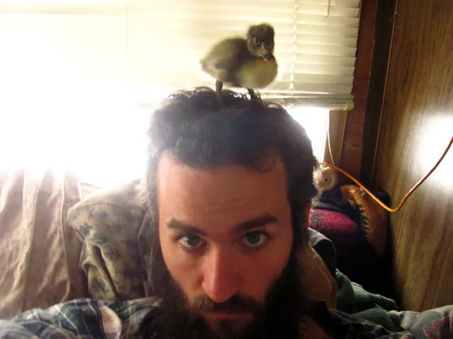 How This Man’s Saved A Duckling