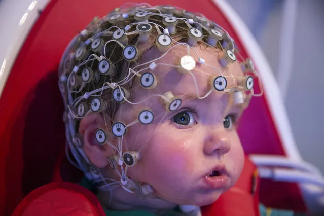 Leo, aged 9 months, takes part in an experiment at the “Birkbeck Babylab” Centre for Brain and Cognitive Development, on March 3, 2014 in London, England. The experiment uses an electroencephalogram (EEG) to study brain activity whilst the baby examines different objects of varying complexity. Researchers at the Babylab, which is part of Birkbeck, University of London, study brain and cognitive development in infants from birth through childhood. (Photo by Oli Scarff/Getty Images)