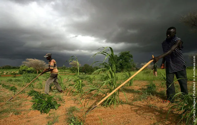 Villager tend to their meager crop of millet as a storm approaches