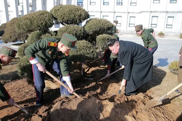 North Korean leader Kim Jong Un visited Mangyongdae Revolutionary School and planted trees with its students on Thursday, the Tree-planting Day, in this undated photo released by North Korea's Korean Central News Agency (KCNA) in Pyongyang March 3, 2017. (Photo by Reuters/KCNA)