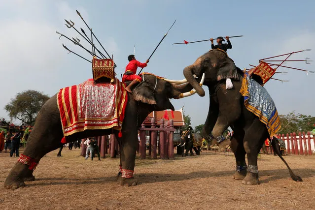 Thai mahouts take part in an elephant fighting demonstration during Thailand's national elephant day celebration in the ancient city of Ayutthaya March 13, 2017. (Photo by Chaiwat Subprasom/Reuters)