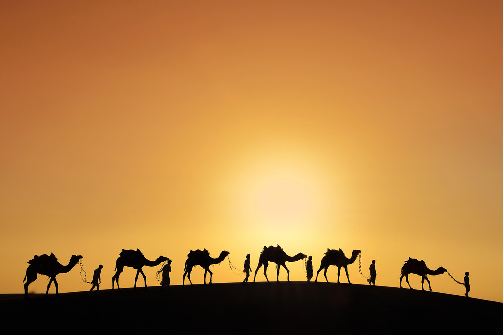 Some Photos: Silhouettes