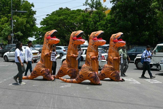 Activists of People for the Ethical Treatment of Animals (PETA) wear dinosaur costumes as they protest for veganism in Hyderabad on May 28, 2024. (Photo by Noah Seelam/AFP Photo)