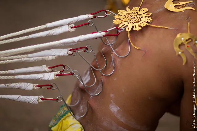 Singapore Hindus Celebrate Thaipusam Festival