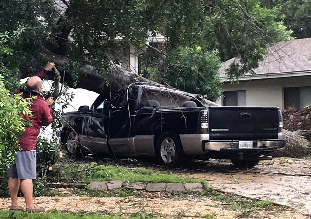 An unidentified man looks at a truck that was crushed by a falling tree in Fort Walton Beach, Florida on Wednesday, June 21, 2017. This Florida panhandle community was hit by a wave of severe weather Wednesday morning as Tropical Storm Cindy churns through the Gulf of Mexico. (Photo by Tom Mclaughlin/Northwest Florida Daily News via AP Photo)