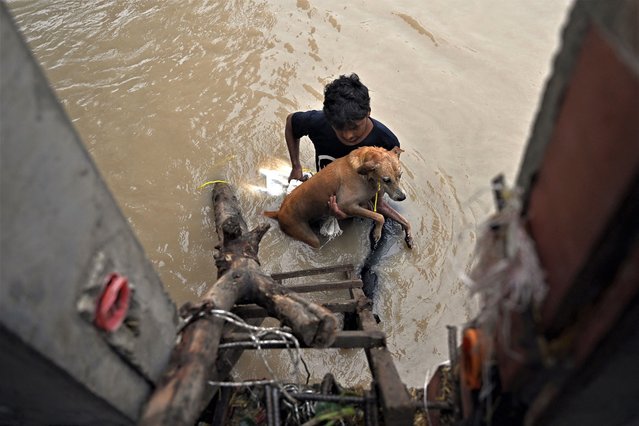 A man carries a dog to a safer place after river Yamuna overflowed following heavy monsoon rains in New Delhi on July 13, 2023. Days of relentless monsoon rains have killed at least 66 people in India, government officials said on July 12, with dozens of foreign tourists stranded in the Himalayas after floods severed road connections. (Photo by Arun Sankar/AFP Photo)