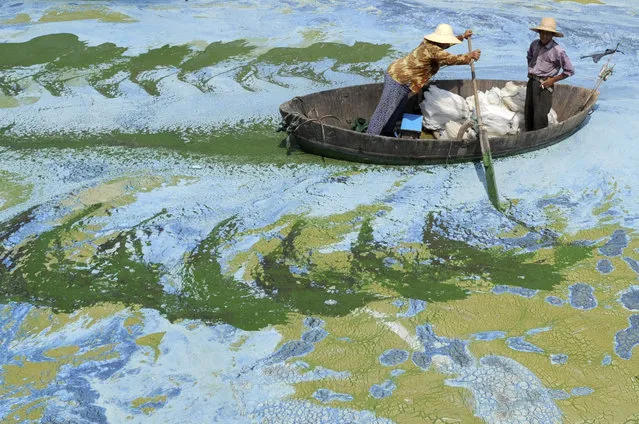 Fishermen row a boat in the algae-filled Chaohu Lake in Hefei, Anhui province, June 19, 2009. The country has invested 51 billion yuan ($7.4 billion) towards the construction of 2,712 projects for the treatment of eight rivers and lakes including Huaihe River, Haihe River, Liaohe River, Chaohu Lake, Dianchi Lake, Songhua River, the Three Gorges region of the Yangtze River and its upstream area, Xinhua News Agency reported. (Photo by Jianan Yu/Reuters)