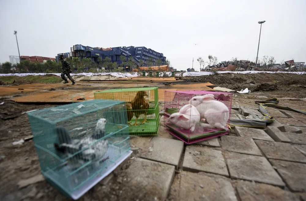 China and Thailand – after Blast