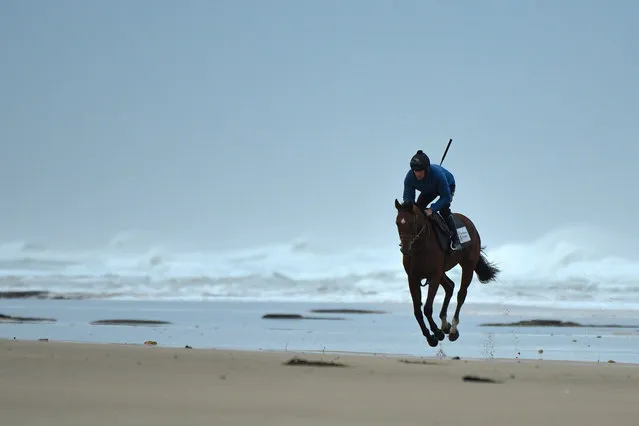 Champion jumps jockey Steven Pateman rides China Plate during a trackwork session at Thirteenth Beach, Barwon Heads, Victoria, Monday, April 27, 2020. (Photo by Vince Caligiuri/AAP Image)