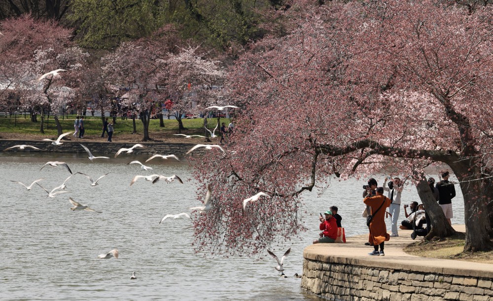 USA last Week, Part 2/2