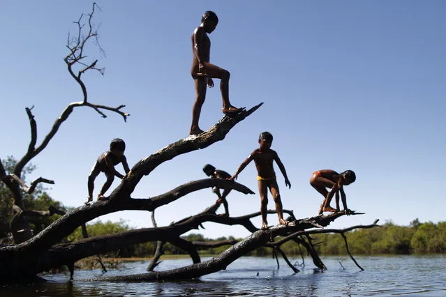 Yawalapiti children play over the Xingu River in the Xingu National Park, Mato Grosso State, May 7, 2012. (Photo by Ueslei Marcelino/Reuters)