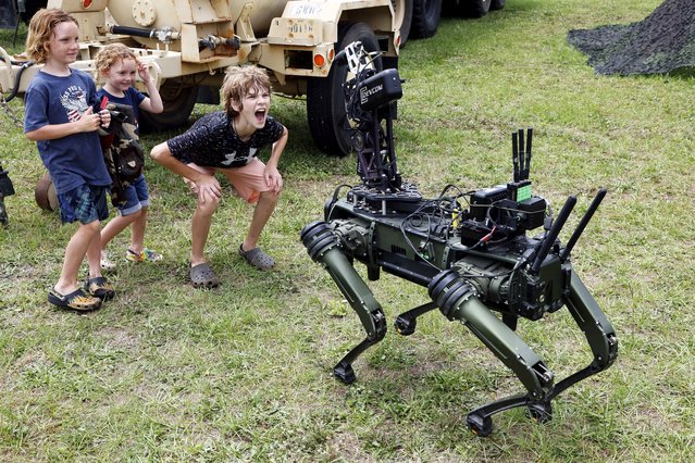 “Lone Wolf” a military robotic dog interacts with visitors at the America 250 Celebration at Fort Bragg in Fayetteville, N.C., Tuesday, June 10, 2025. (Photo by Karl DeBlaker/AP Photo)