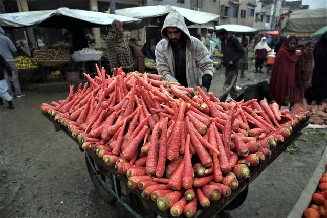 A produce vendor arranges carrots as he waits for customers at a market in Islamabad, Pakistan, on January 22, 2022. Growing numbers of people in Asia lack enough food to eat as food insecurity rises with higher prices and worsening poverty, according to a report by the Food and Agricultural Organization and other UN agencies released Tuesday, Jan. 24, 2023. (Photo by Rahmat Gul/AP Photo)