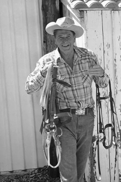 Presidential contender Ronald Reagan carries gear before saddling up for a ride on his ranch near Santa Barbara, California on June 27, 1980. (Photo by Walter Zeboski/AP Photo)